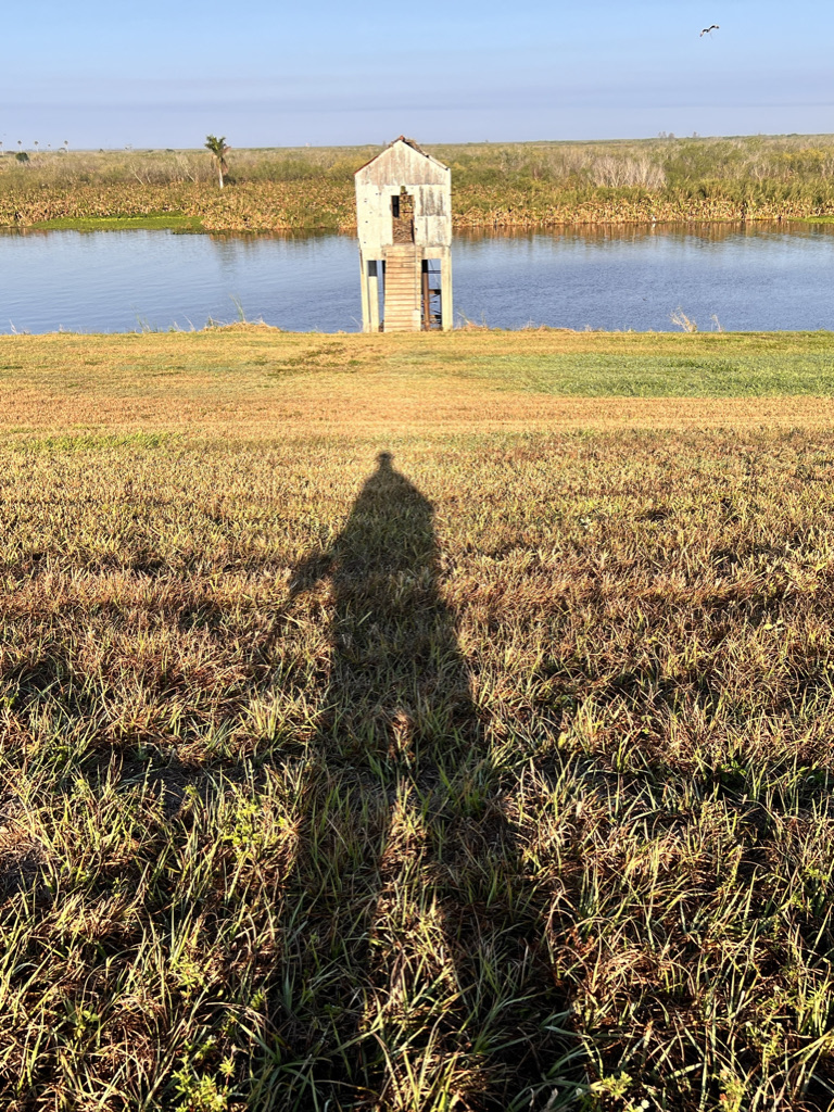 Morning light on the rim canal, East Lake Okeechobee.