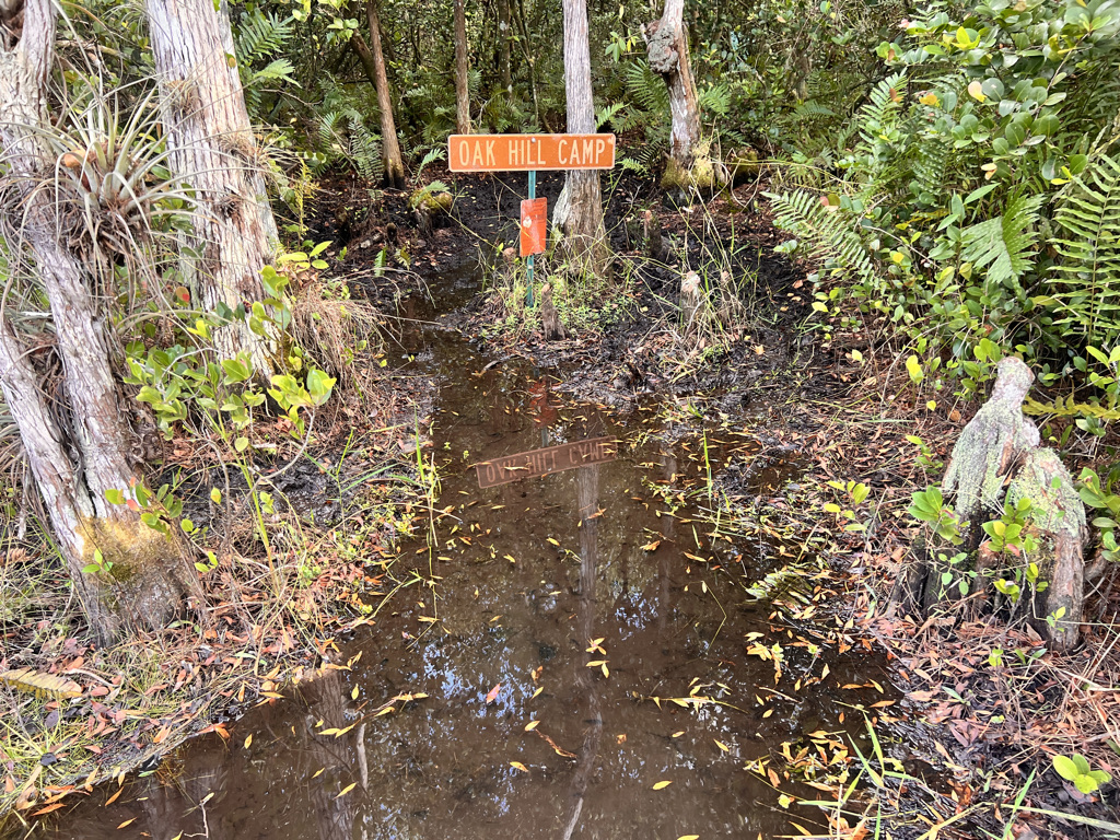 The watery entrance to magical Oak Hill. I finished the first tough bit and took a break in this shaded – and dry – oasis. A hiker abandoned all his tent on this hammock earlier this year freaked out by the vastness of this swamp. 