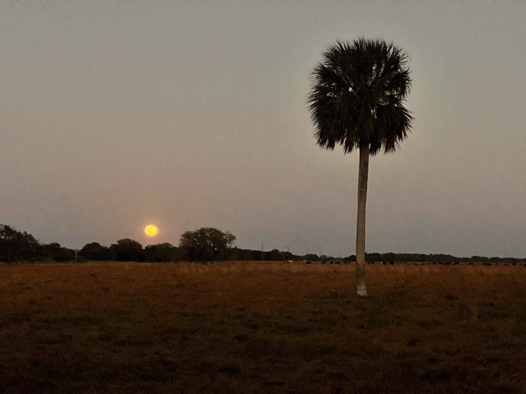 The full moon from my campsite. She was shy and came up just as the mosquitos began feeding. This was the best shot I could get! 