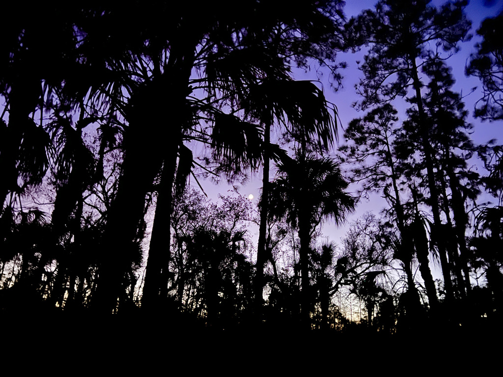 A crescent moon appeared in a deep purple sky as I crawled into my tent at camp. I went to sleep nervous about what the next day would bring, but resolved to take my time and be extra vigilant.