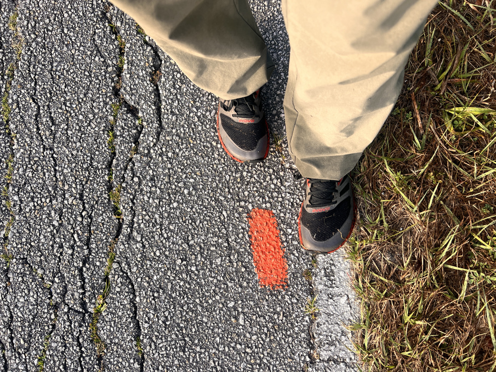 The Florida Trail Association paints blazes right on the road. It's a bit too much tarmac for my taste, but it takes me to some of the most intriguing bits of the trail. 