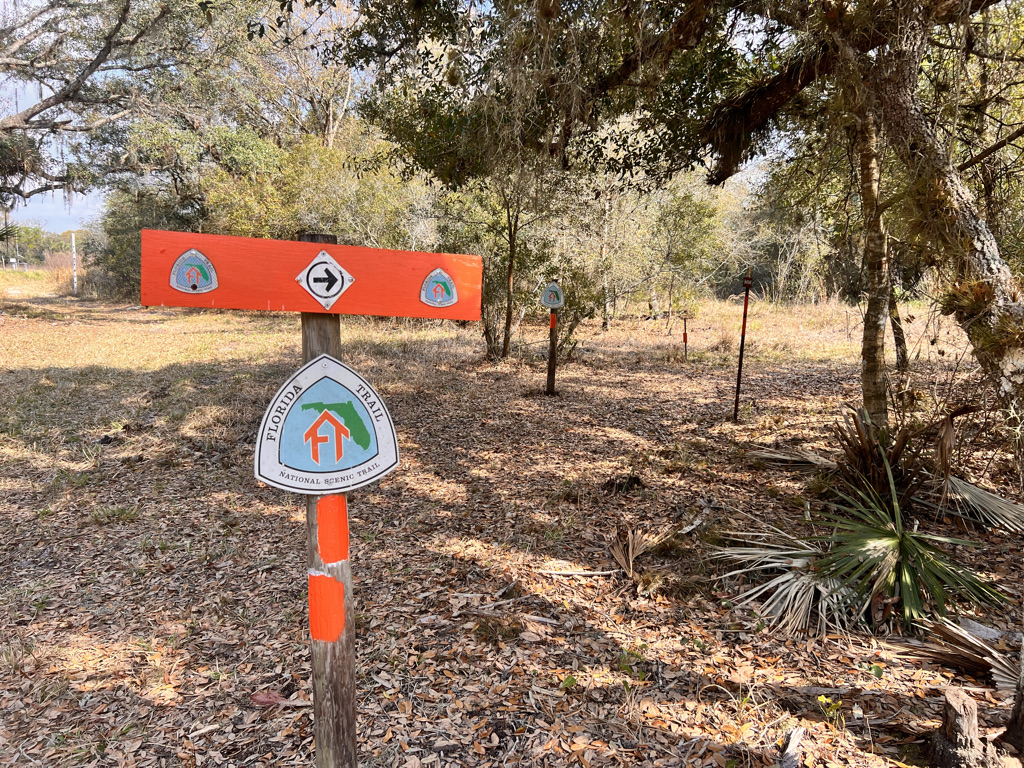 The urgent sign warning hikers to avoid the low-lying area ahead which is normally filled with gators. It's very low, so I keep heading straight and shave off a mile's walk. 