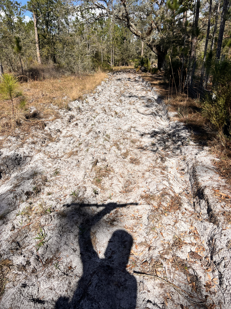 One more dreaded sand road before my section hike would be complete. 