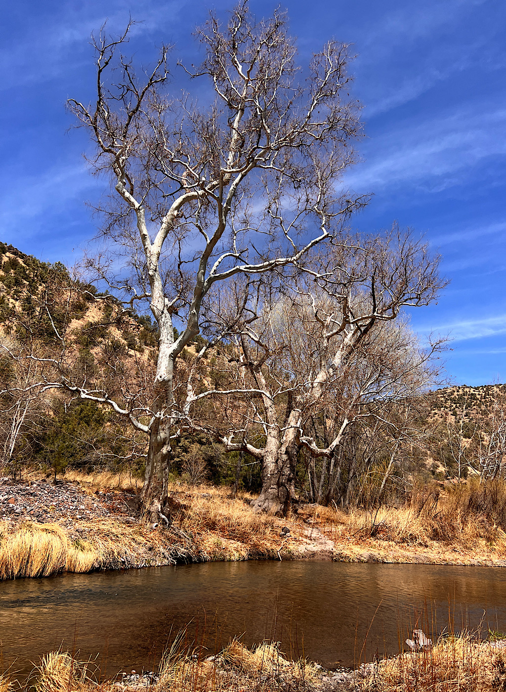 The Gila River makes a sharp contrast to the rest of the arid landscape. I crossed it 55 times the first day and also drank its sweetness.