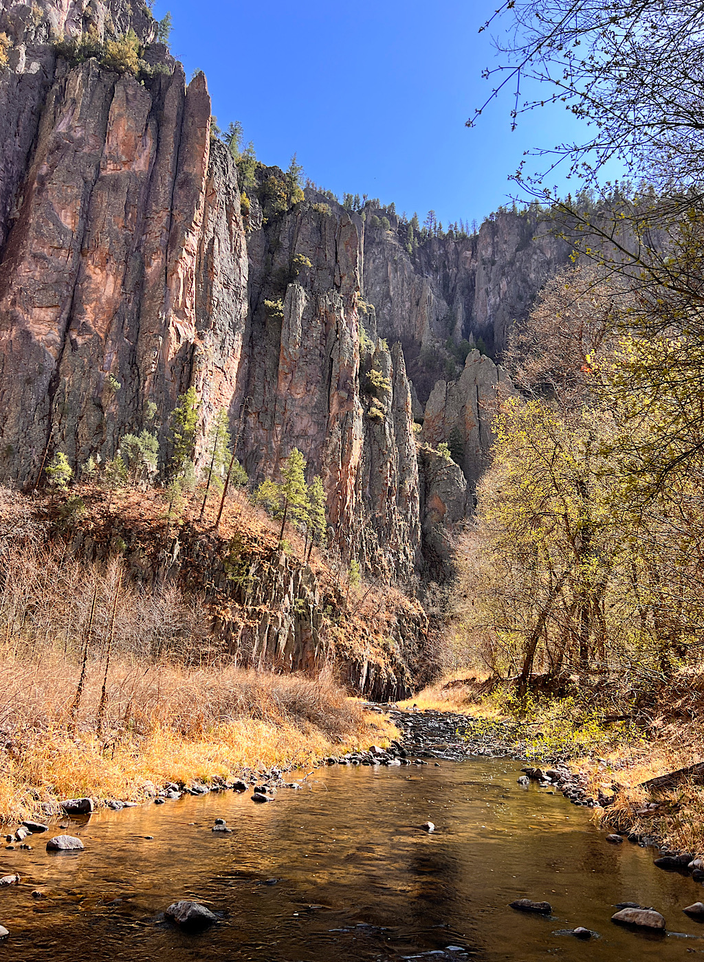 I took lots of pictures standing in the middle of the Middle Fork of the Gila. Had I not needed to get out before the freezing temperatures, I could have explored all week.