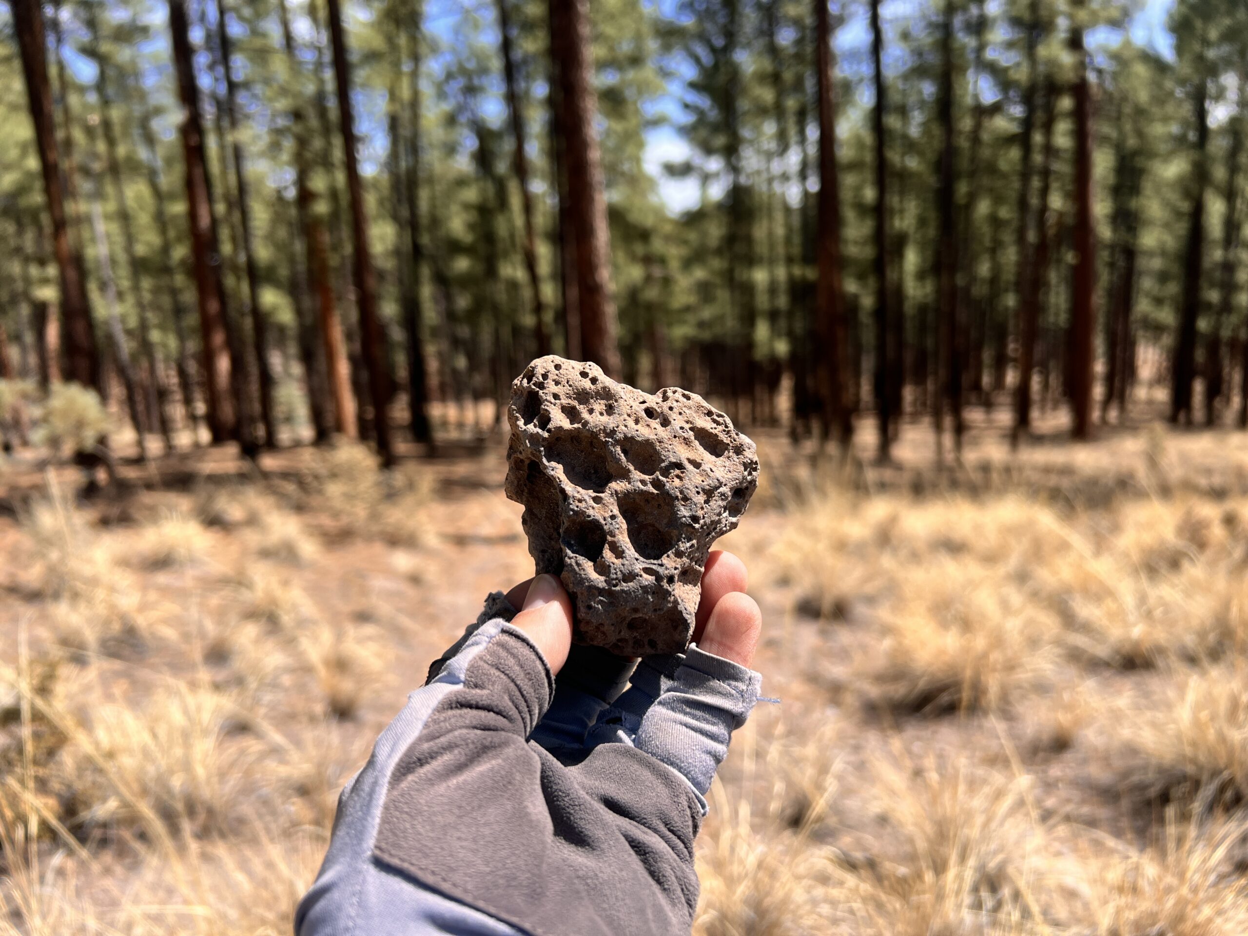 A heart-shaped bit of basalt filled with holes from lava gas bubbles. I was all alone waling the long high route above the Gila River, but I glad I chose the alternate to keep my feet dry as the temperatures plummeted.