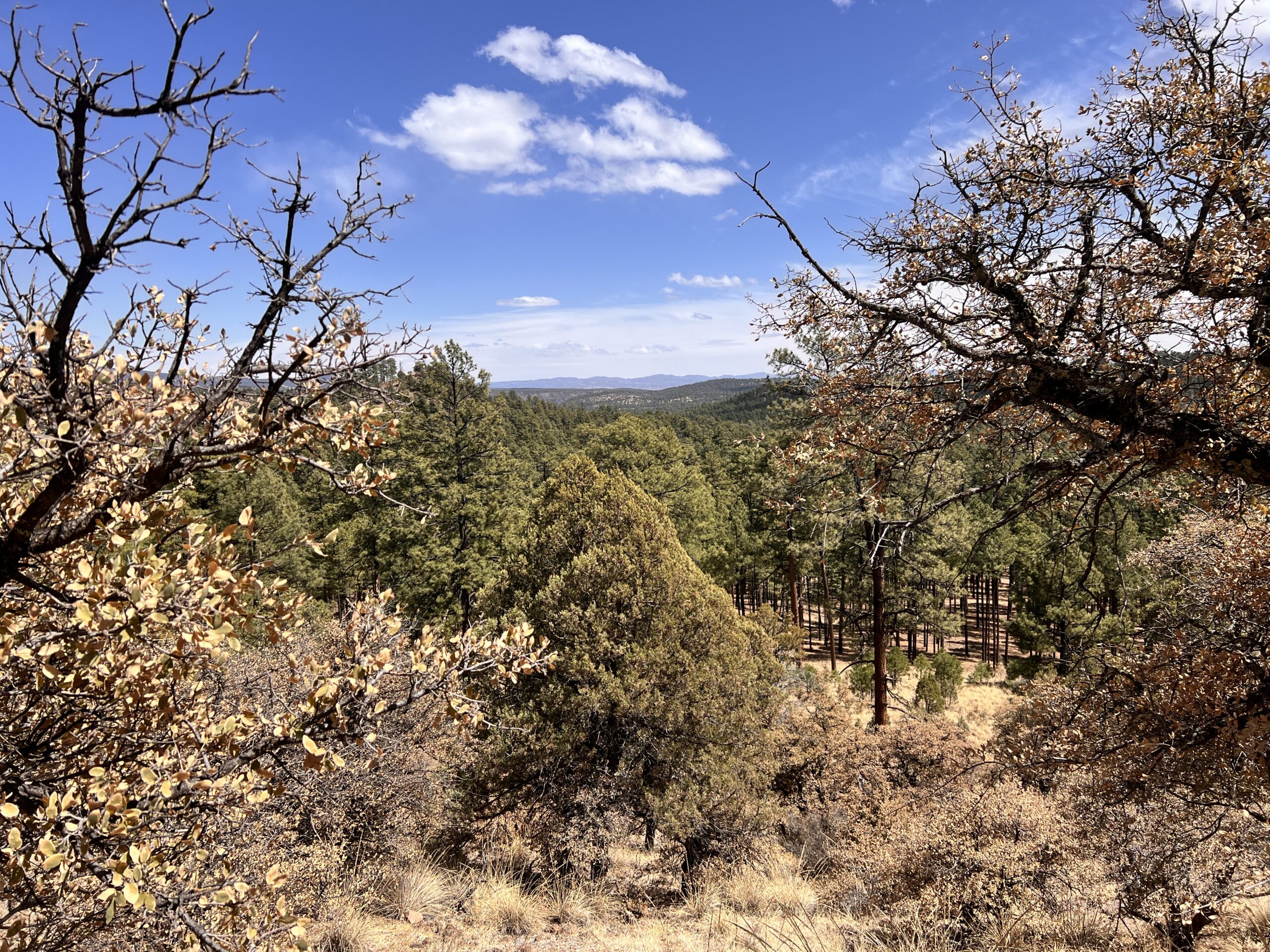 Looking down towards the Gila River from the high alternate.