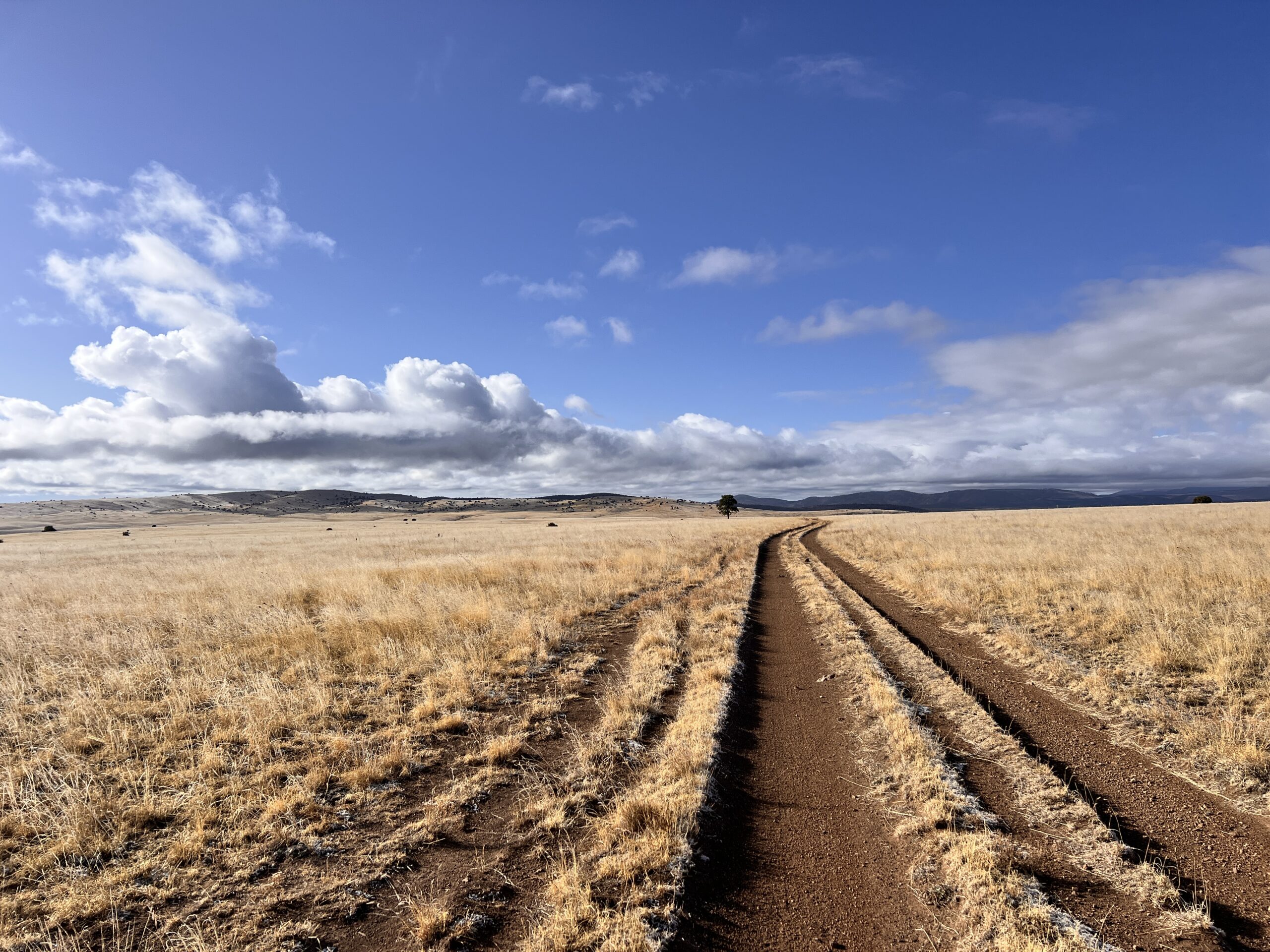 The long track I follow back into the mountains. The day is beautiful and mysterious. I have no idea what's coming in this very exposed landscape.