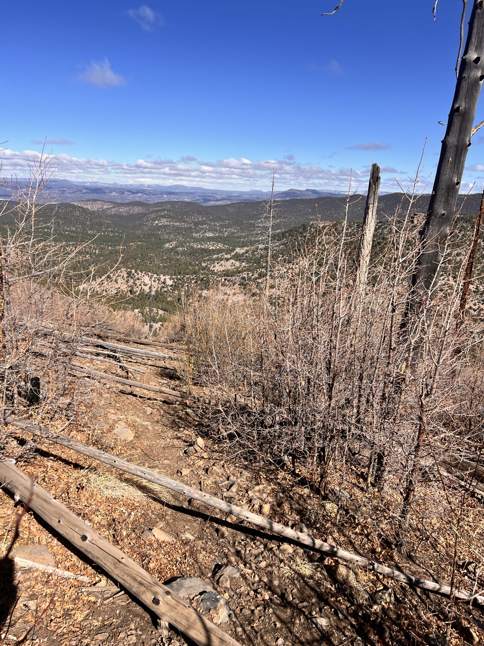Very mild blowdowns criss-cross the trail. In Montana, I had blowdowns on top of blowdowns and it was seriously hard work to move forward.