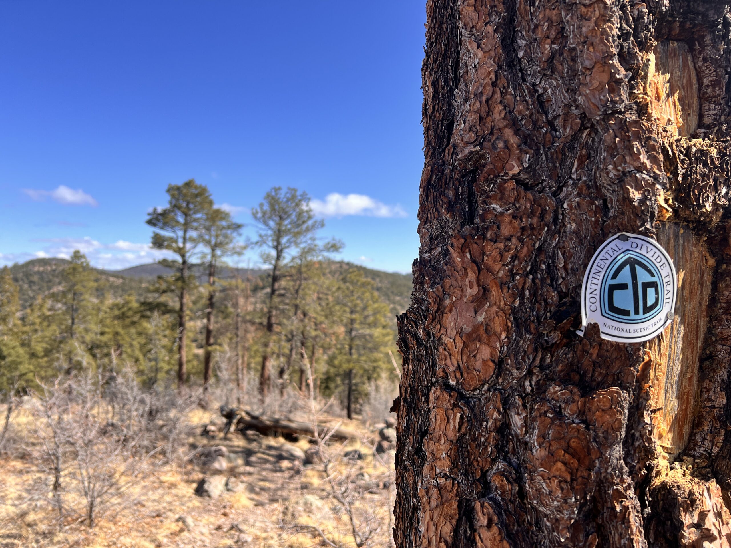 There's something cool about walking even just a little bit of this epic trail, the Continental Divide.