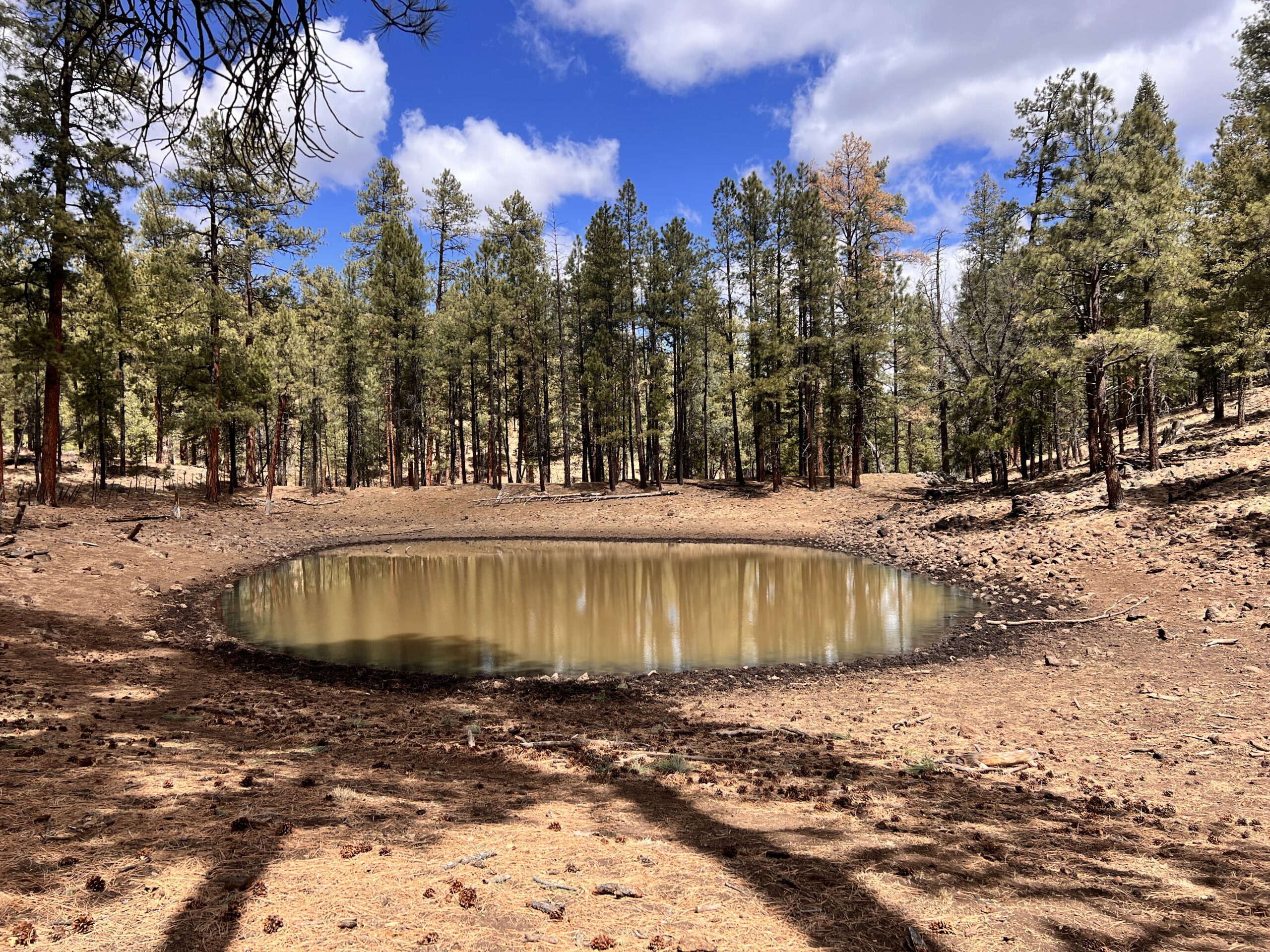 Another lovely man-made pond or "tank." This alternate through Govina Canyon was dry and pretty dull, but it did get me to a water source.