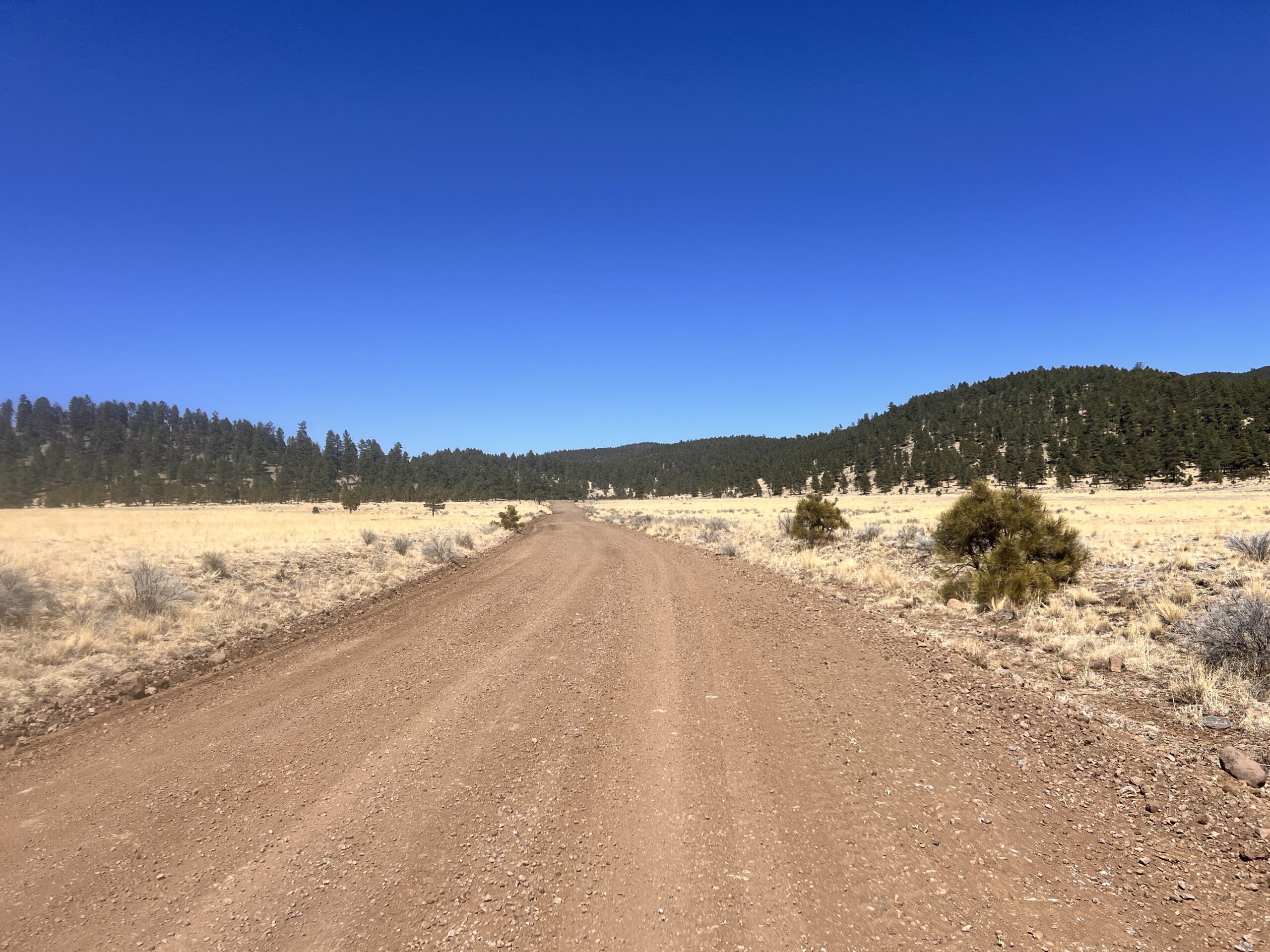 It's a long road and long climb today, a great chance to memorize lines!