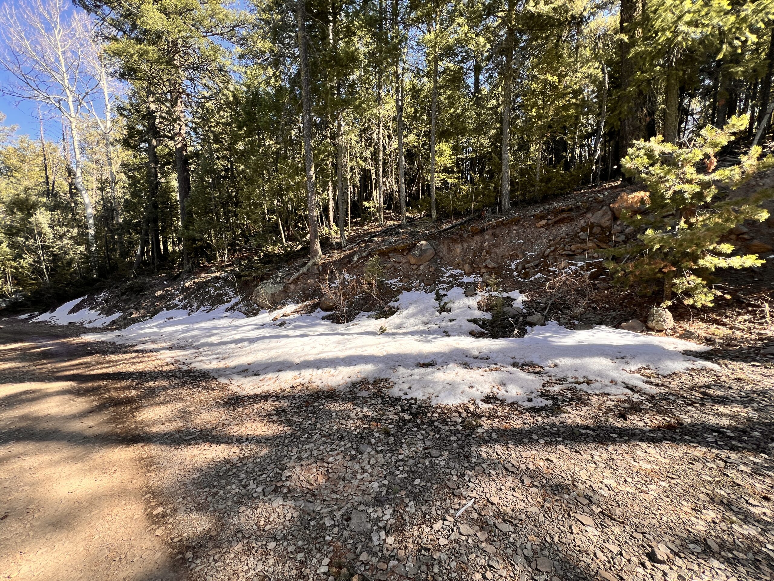Snow and Aspen at the top of Mangas Mountain, over 9,000 feet. I descend fast so as not to have to sleep up here in the cold.