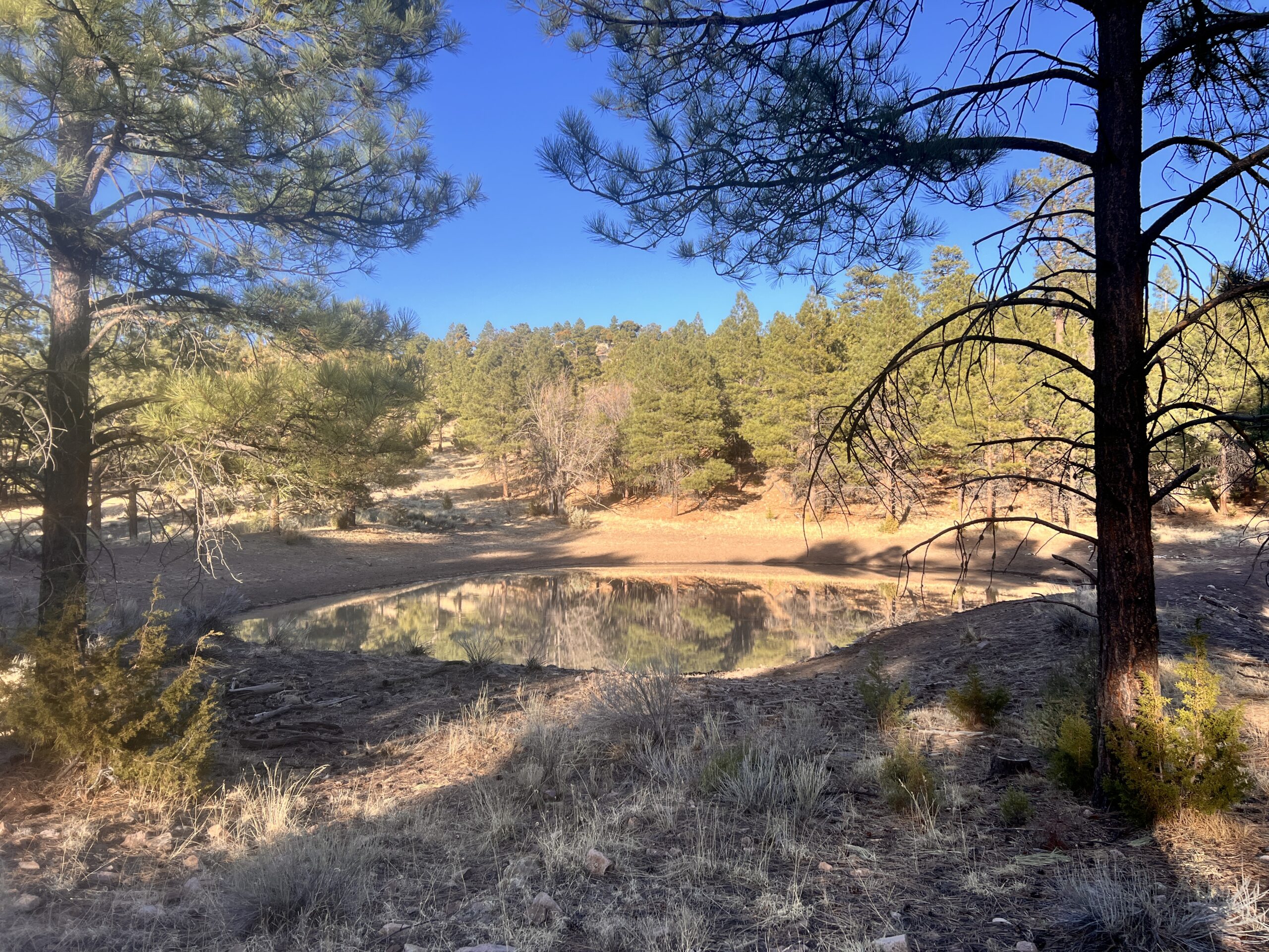 A hiker wouldn't survive in New Mexico without man-made tanks.