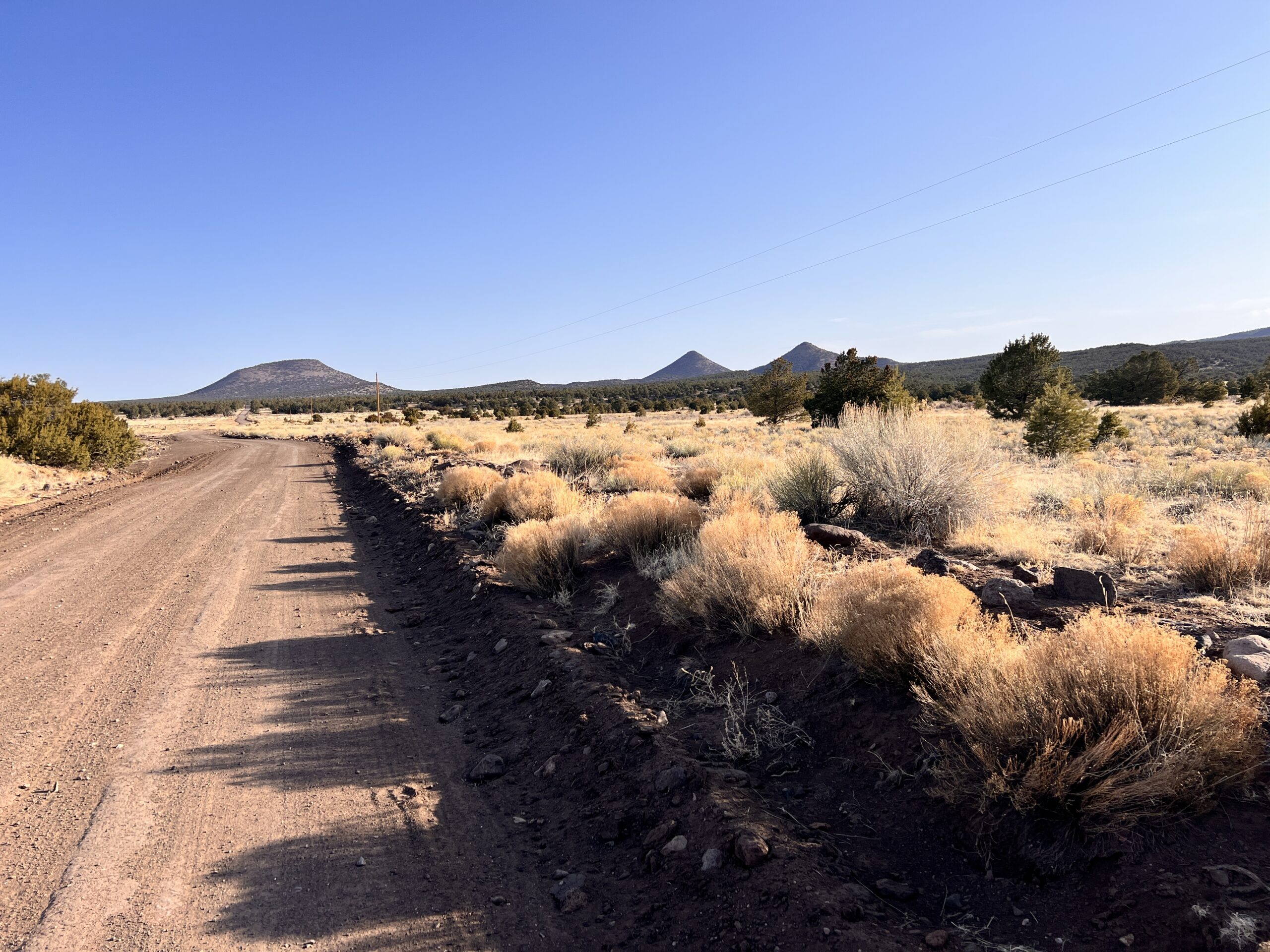 This is my view the entire day: road.