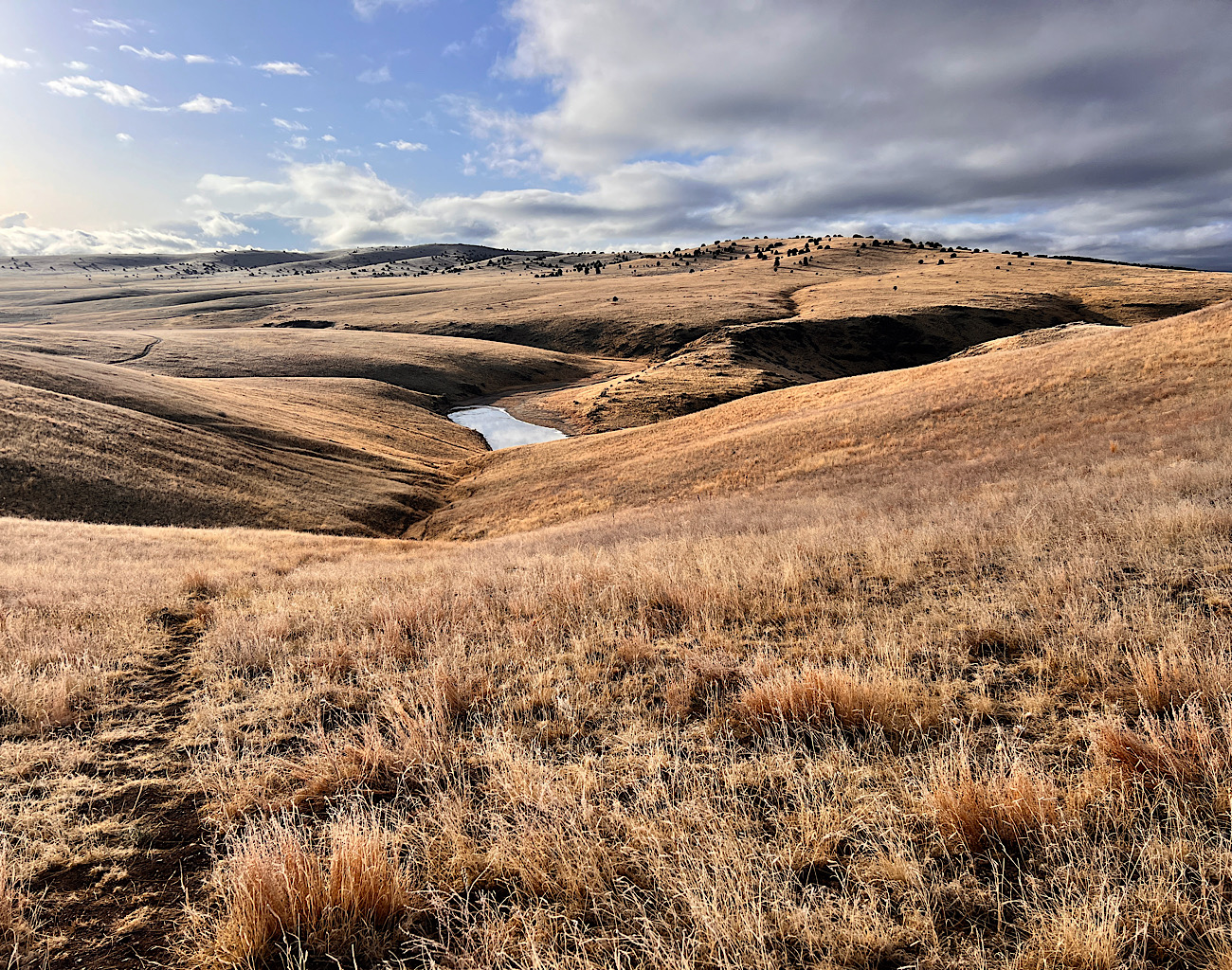 Above now partially frozen Gail Tank. The morning was so fresh and wide-open, it felt like the prairies of North Dakota.