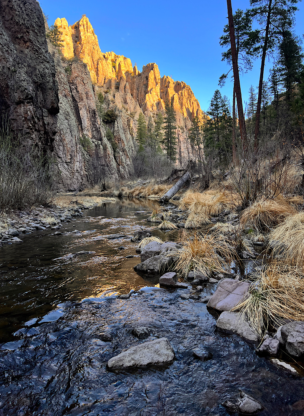 Sunrise in the Gila takes time and the first plunge was chilly. Still, the Middle Fork of the Gila is a gorgeous place to have all to myself.