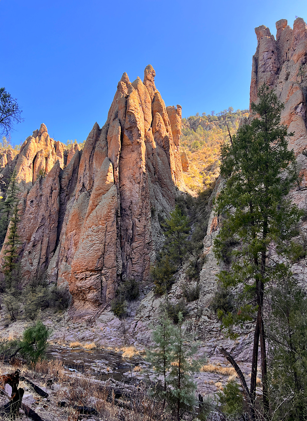 A closer look at the basalt towers on the Gila River's Middle Fork. They remind me of Gaudi's Sagrada Familia in Barcelona.