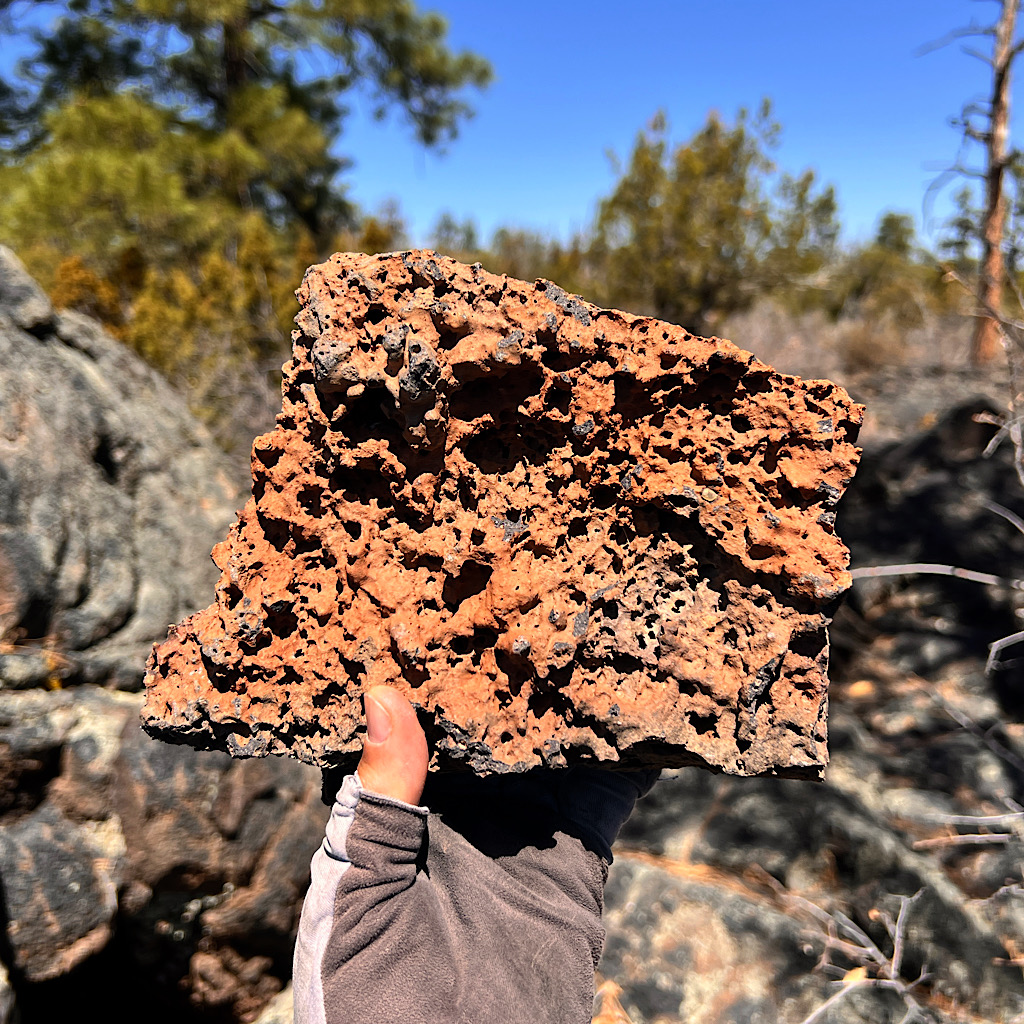 A piece of basalt filled with gas bubble holes on the Zuni-Acoma Trail.