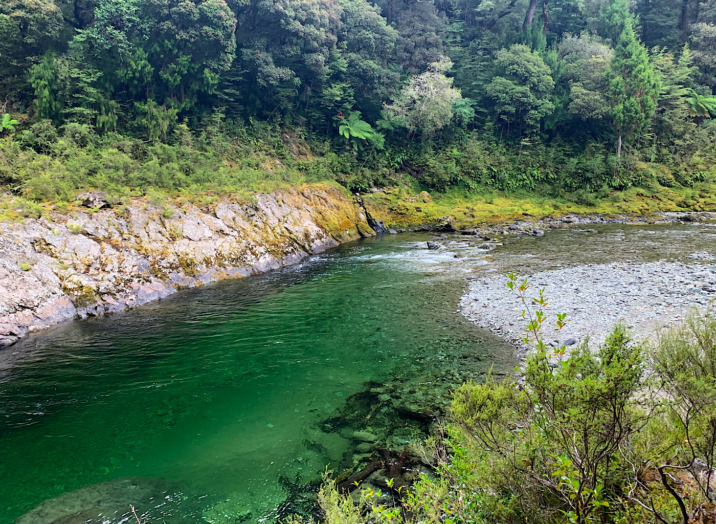 The emerald pools of the Te Hoiere/Pelorus River, New Zealand.