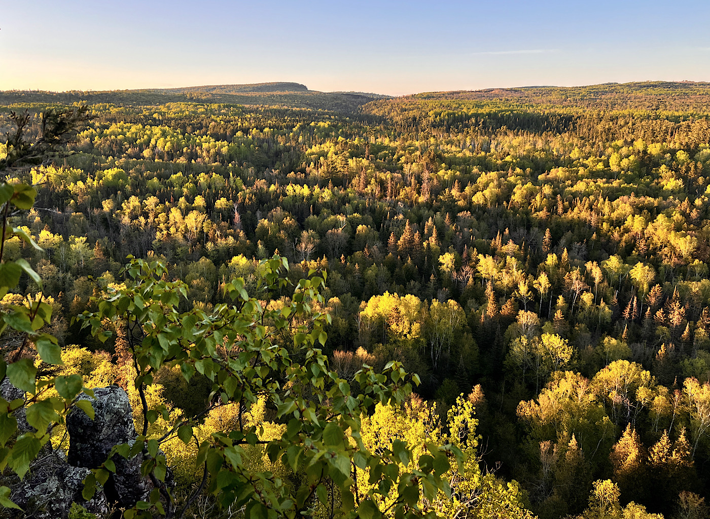 The glorious view of Eagle Mountain from Lookout Mountain in Cascade State Park, Minnesota. My timing was perfect to catch the last rays of golden light over the forest in early spring. 